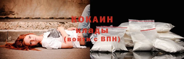 дживик Нефтекумск